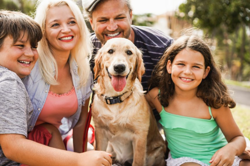 Happy family having fun with children and their dog outdoor summer time - Main focus on dog face